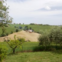 Corinaldo Le Marche