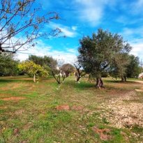 Cisternino Puglia