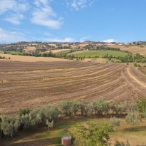 Foiano della Chianina Toscana