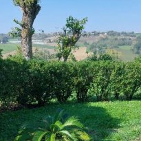 Barchi - Terre Roveresche Le Marche
