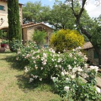 Città della Pieve Umbria