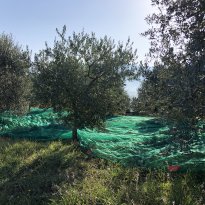 Città della Pieve Umbria