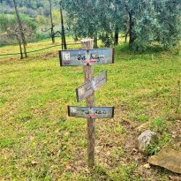 Città della Pieve Umbria