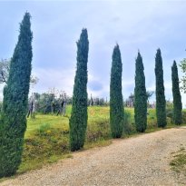 Città della Pieve Umbria