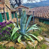 Città della Pieve Umbria