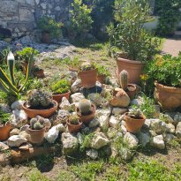 Narni Umbria