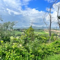 Pesaro Le Marche