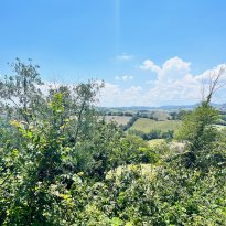 Pesaro Le Marche