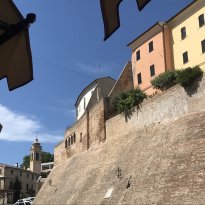 Colli al Metauro Le Marche