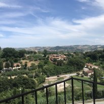 Colli al Metauro Le Marche