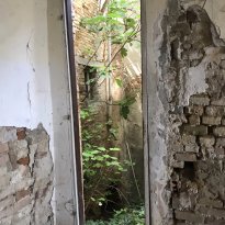 Colli al Metauro Le Marche
