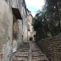 Colli al Metauro Le Marche