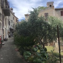 Colli al Metauro Le Marche