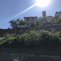 Colli al Metauro Le Marche