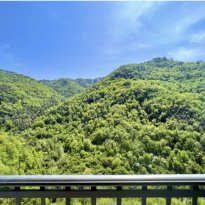 Apricale Liguria