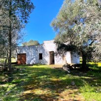 Ceglie Messapica Puglia