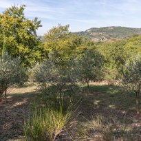 Parrano Umbria