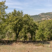 Parrano Umbria