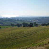 Roncitelli di Senigallia Le Marche