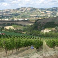 Borgo Miriam Le Marche