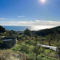 Ranzi Liguria