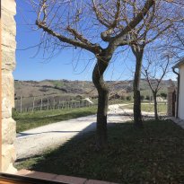 Cupramontana Le Marche
