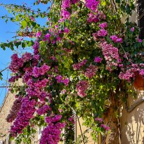 Torre di Palme Le Marche