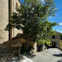 Monterolo Le Marche