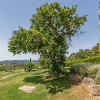 Cinigiano Toscana