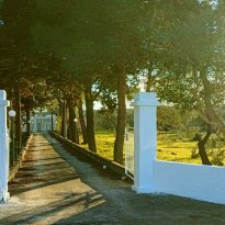 Ceglie Messapica Puglia