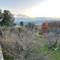 Ceglie Messapica Puglia