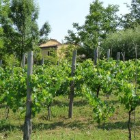 Sarnano Le Marche