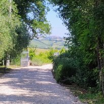 San Lorenzo in Campo Le Marche