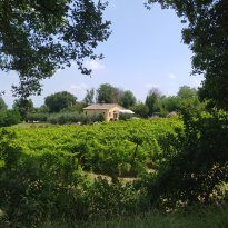San Lorenzo in Campo Le Marche