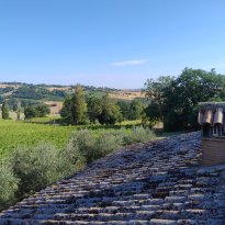 San Lorenzo in Campo Le Marche