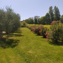 San Lorenzo in Campo Le Marche