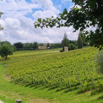 San Lorenzo in Campo Le Marche