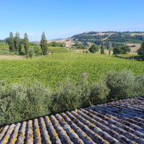 San Lorenzo in Campo Le Marche