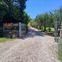 San Lorenzo in Campo Le Marche
