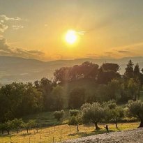 Tolentino Le Marche