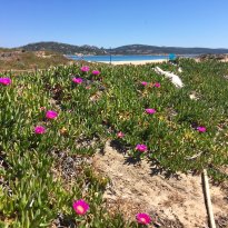 San Pantaleo, Olbia Sardegna