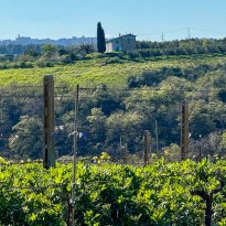 Ripatransone Le Marche