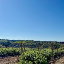 Ripatransone Le Marche