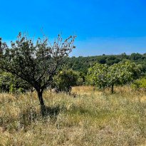 Ripatransone Le Marche