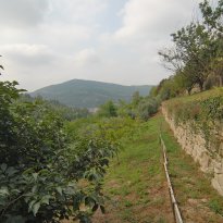Cortemilia Piemonte