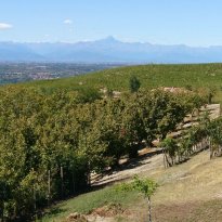 Dogliani Piemonte