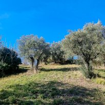 Loro Piceno Le Marche