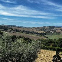 Barchi Le Marche