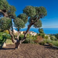 Sanremo Liguria