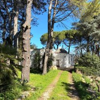 Cisternino Puglia